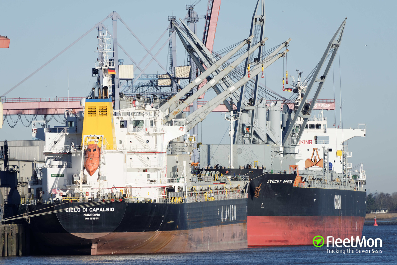 La compagnia D’Amico vende la bulk carrier handysize Cielo di Capalbio